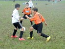 Foto partita