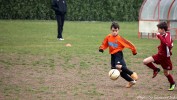 Foto partita