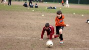 Foto partita
